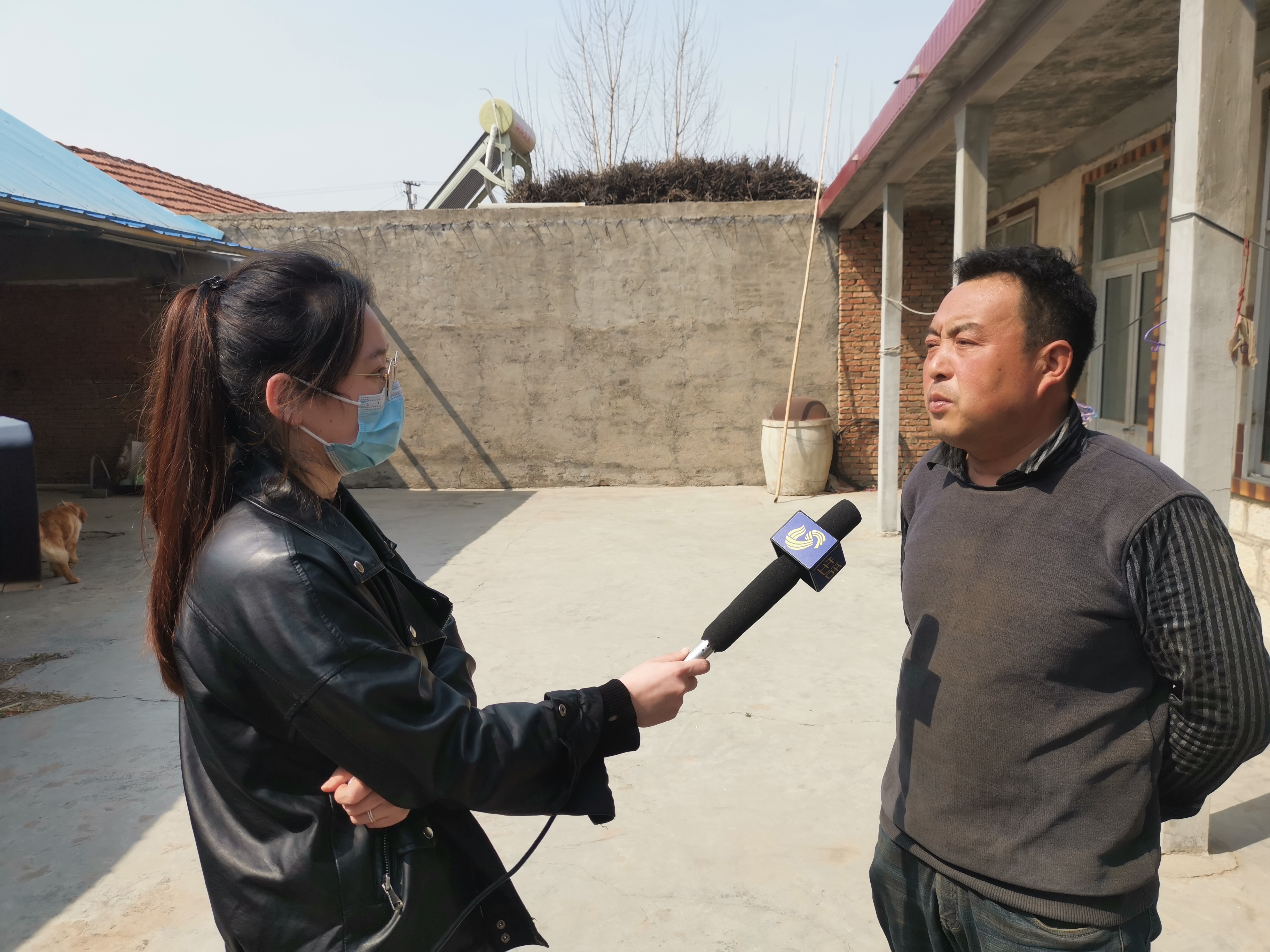 第209所 平度市崔家集镇状元府壹贰博网页版刘丽新小学 第209所 平度市崔家集镇状元府壹贰博网页版刘丽新小学