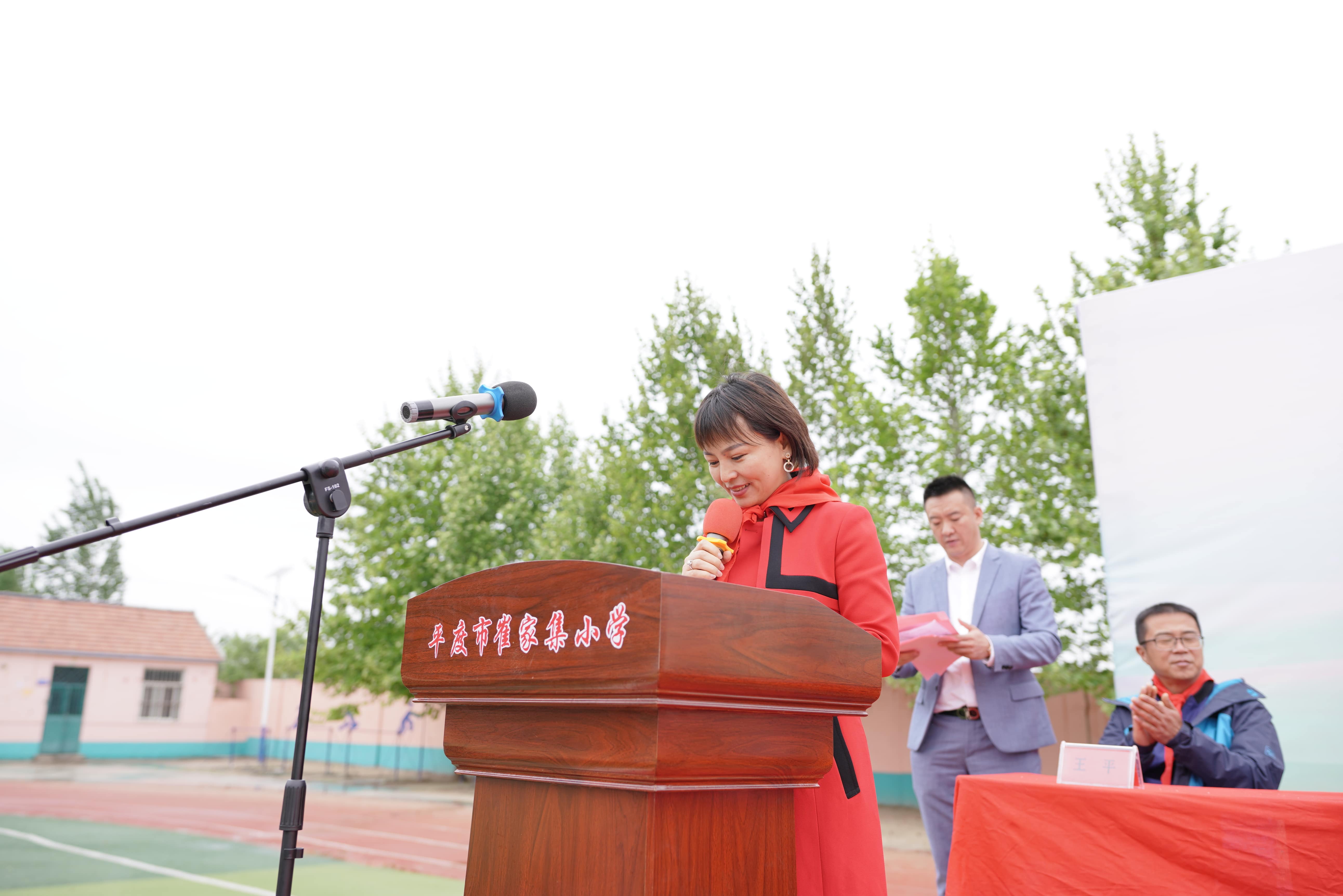 第213所 平度市崔家集镇崔家集壹贰博网页版周玉洁小学