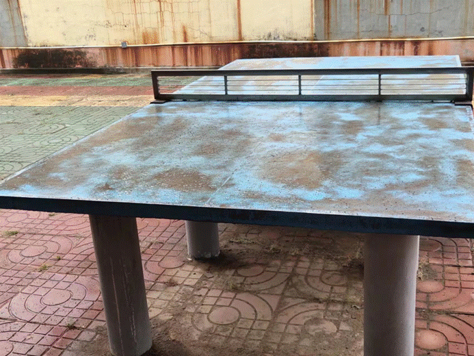第242所 山东省新泰市果都镇壹贰博网页版王茹小学 第242所 山东省新泰市果都镇壹贰博网页版王茹小学